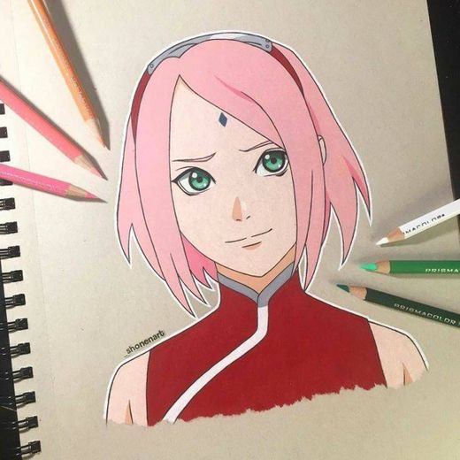 Sakura - Drawing