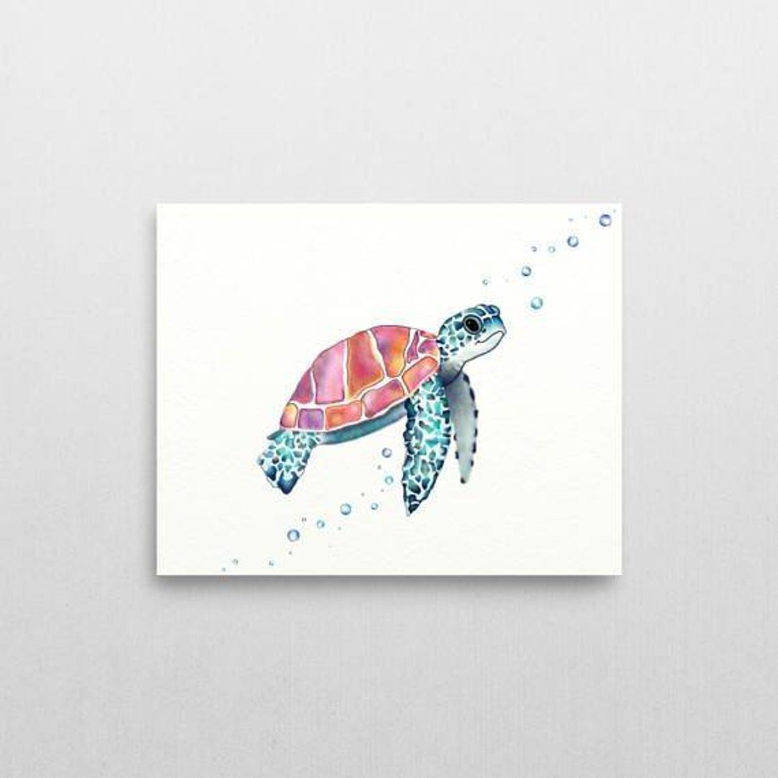 Tela de pintura Tartaruga 