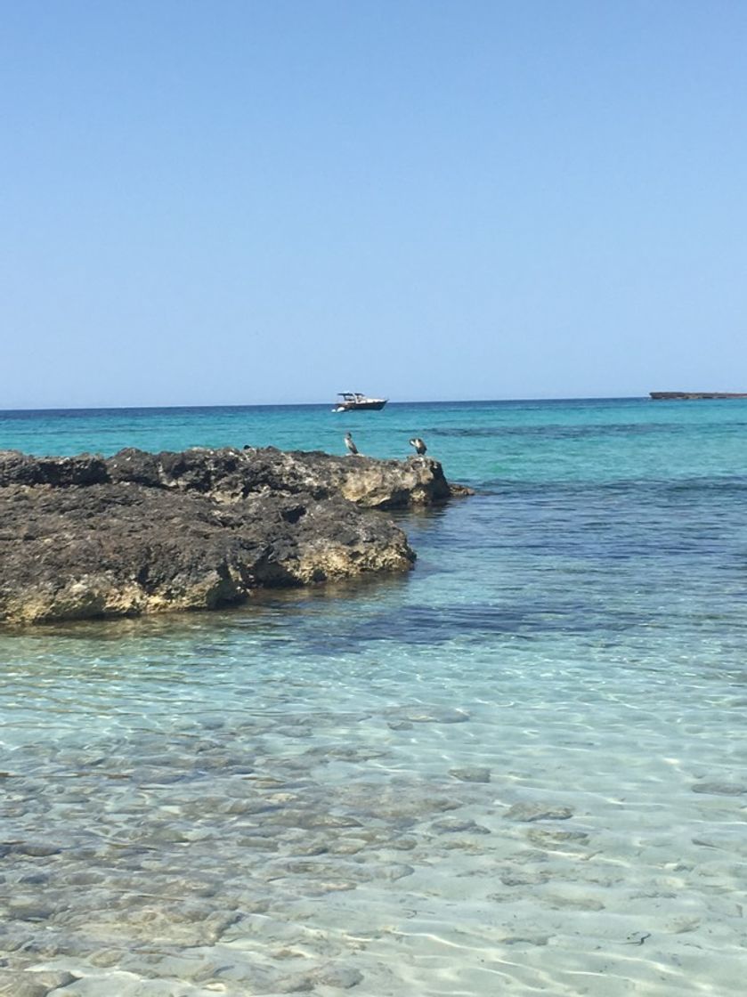 Place Son Bou