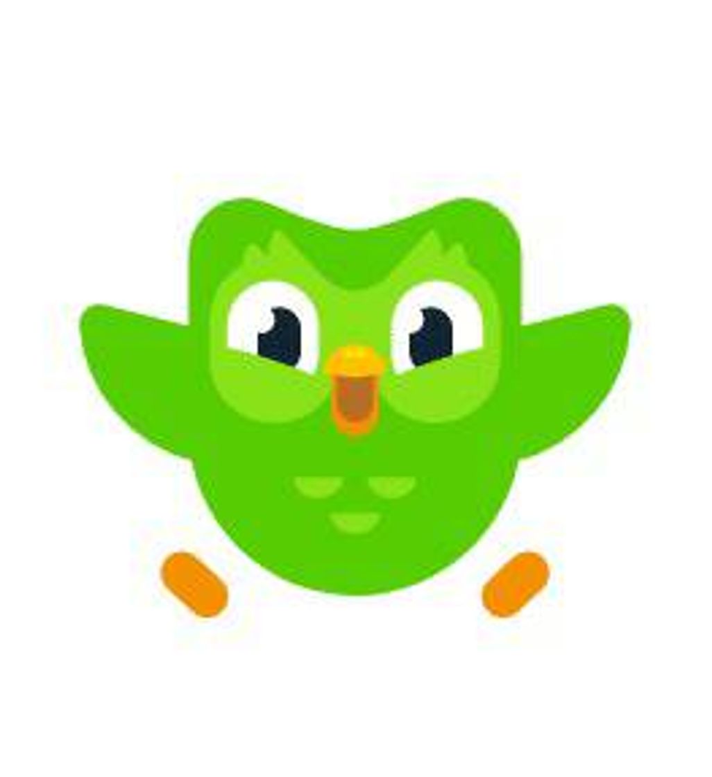 App Duolingo 🦉