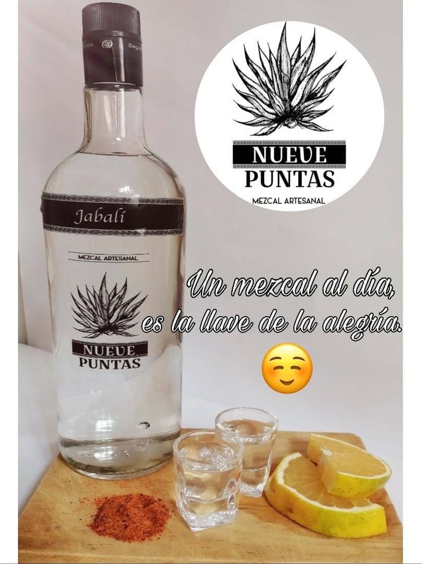 Moda Mezcal Nueve puntas 