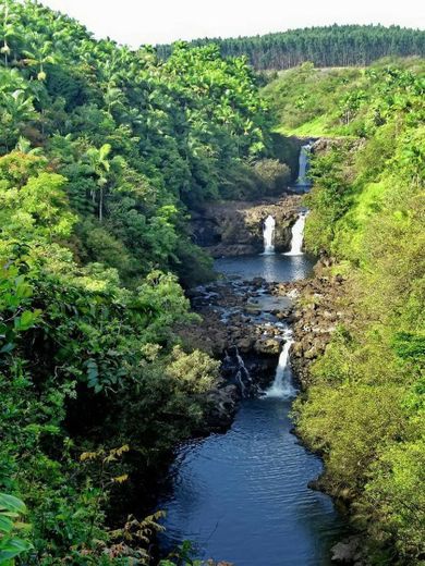 Umauma Falls - Hawaii.