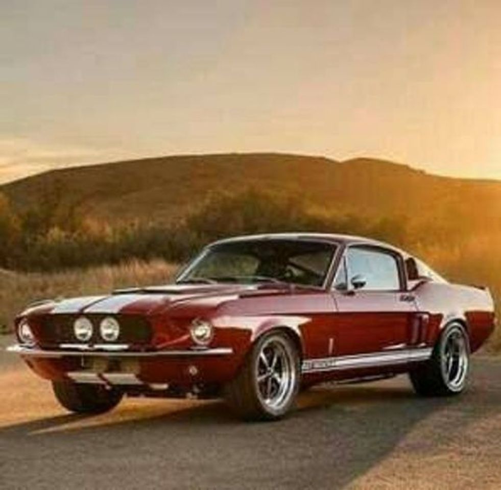 Fashion Mustang Shelby