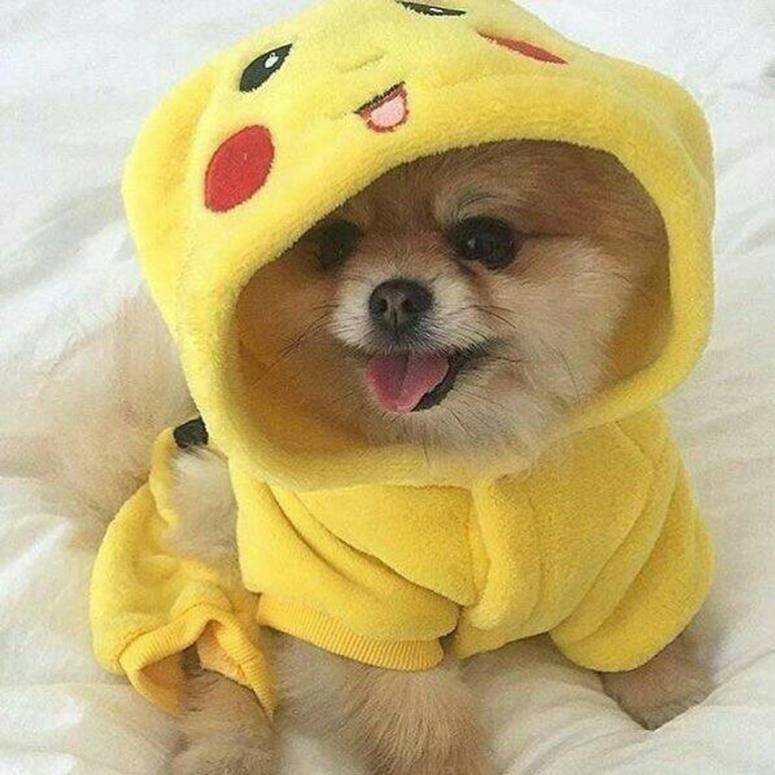 Fashion Pikachu🐶💮🌌