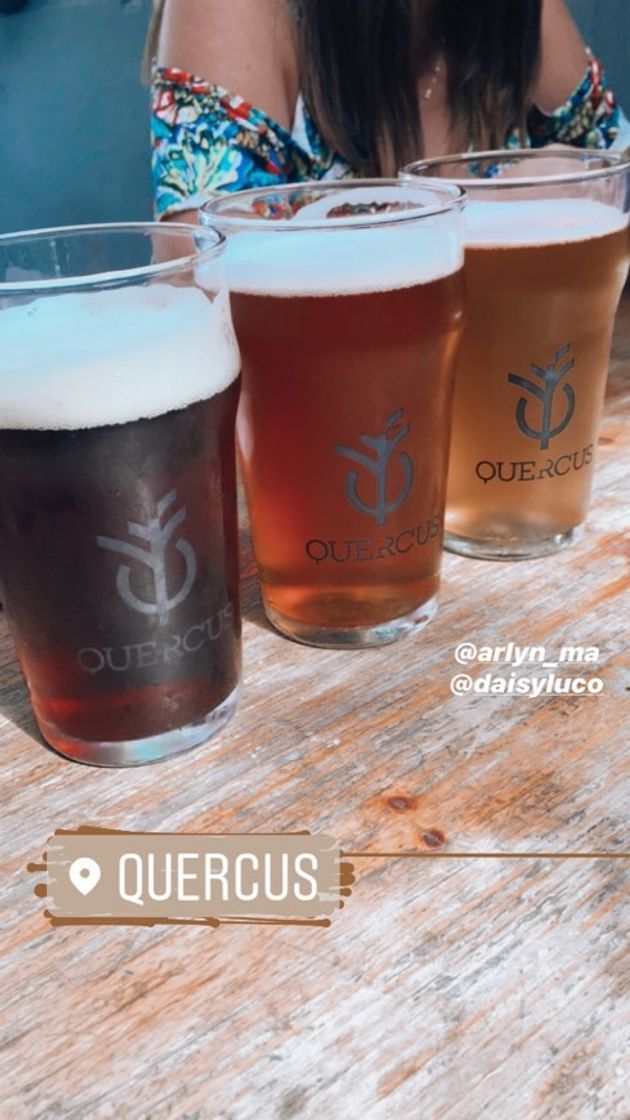 Restaurants Quercus Bar