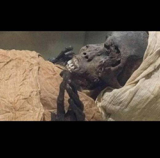  Tomografia em múmia de faraó revela O assassinato do rei
