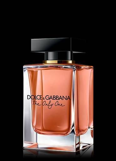 THE ONE ONE dolce & gabbana