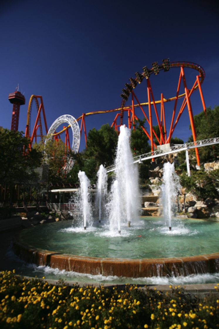 Lugar Six Flags Photo