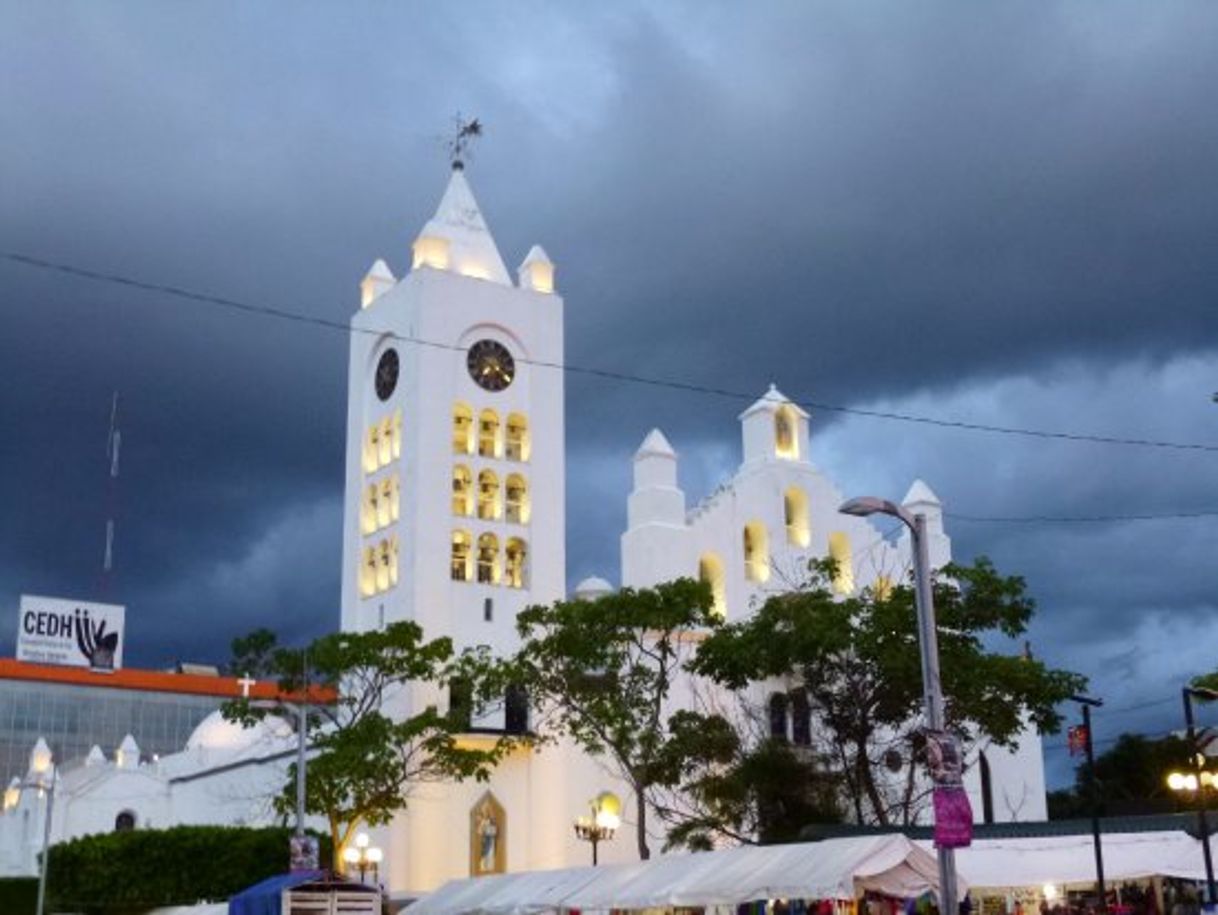 Place Catedral Metropolitana de San Marcos