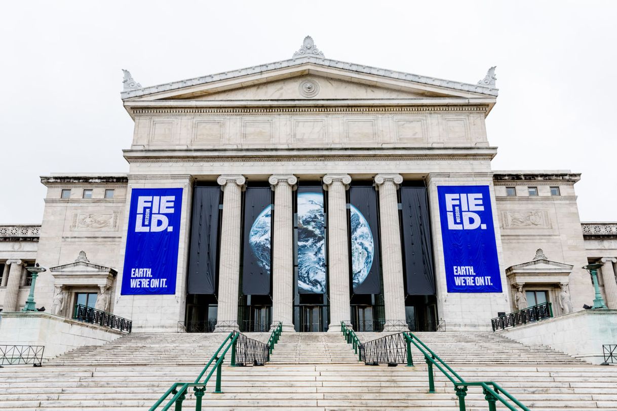 Place Field Museum