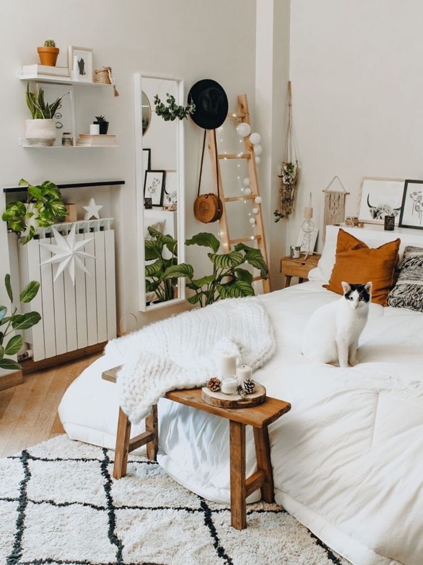 Fashion Boho home decor inspo