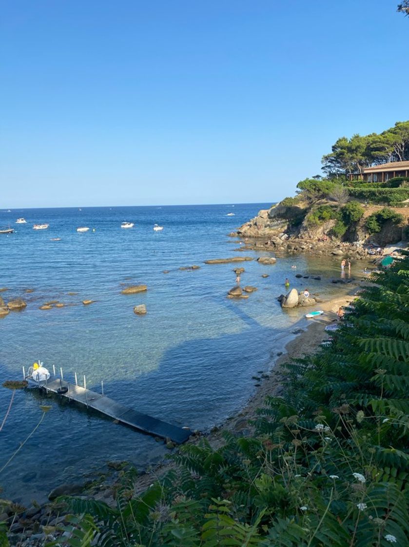 Place Playa de la Fosca