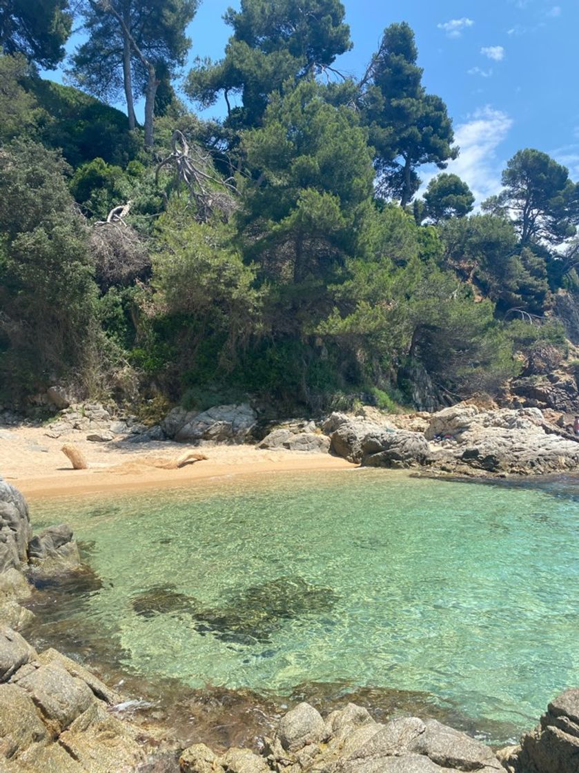 Place Cala sa Boadella