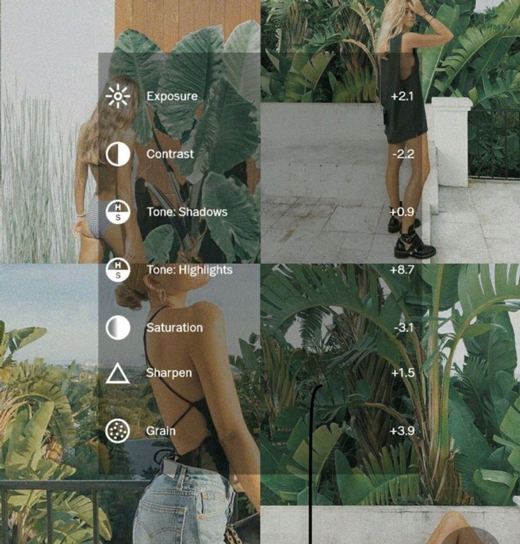 Social Oi natureza 🌿