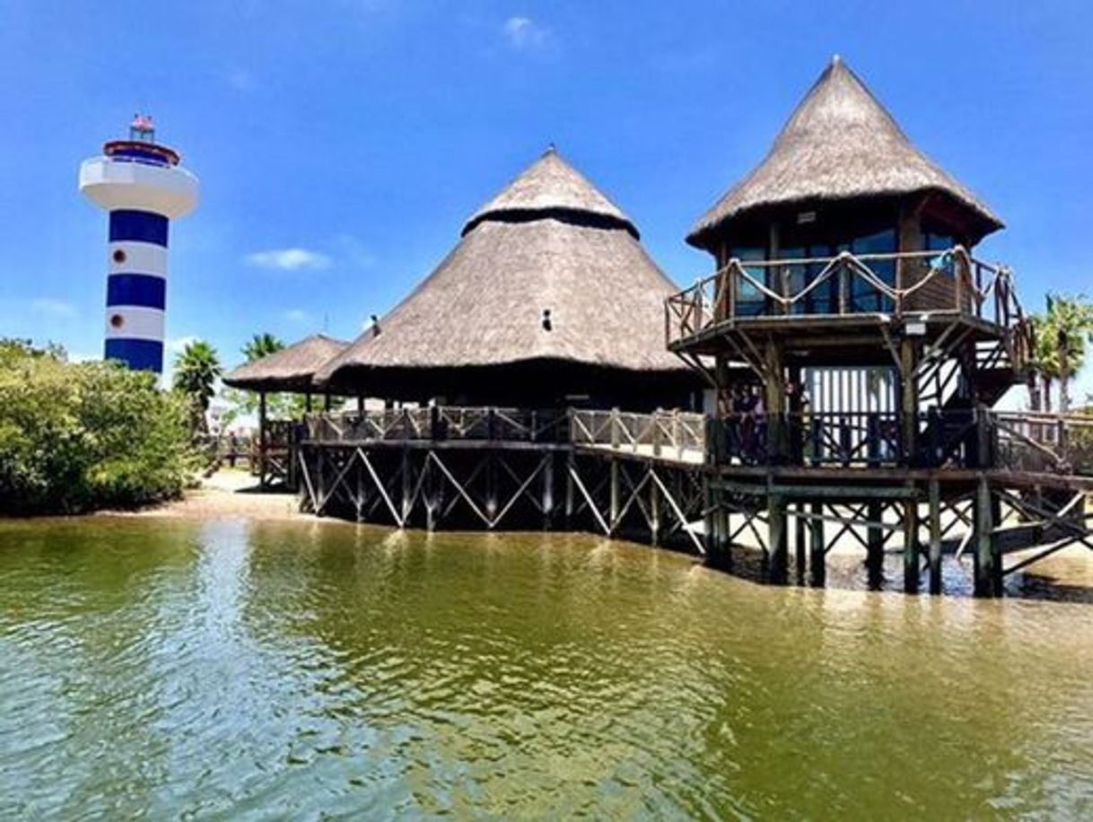 Lugar Marina & Club de Yates Isla Cortés