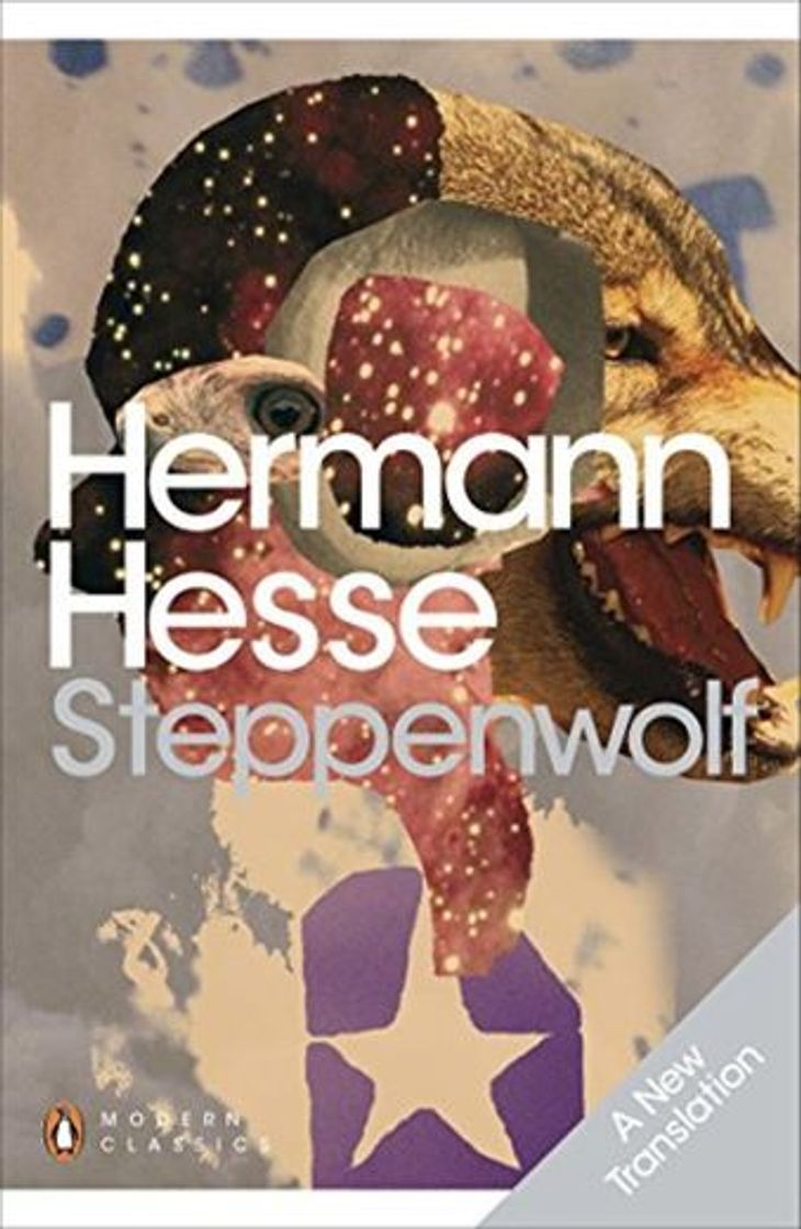 Book Steppenwolf