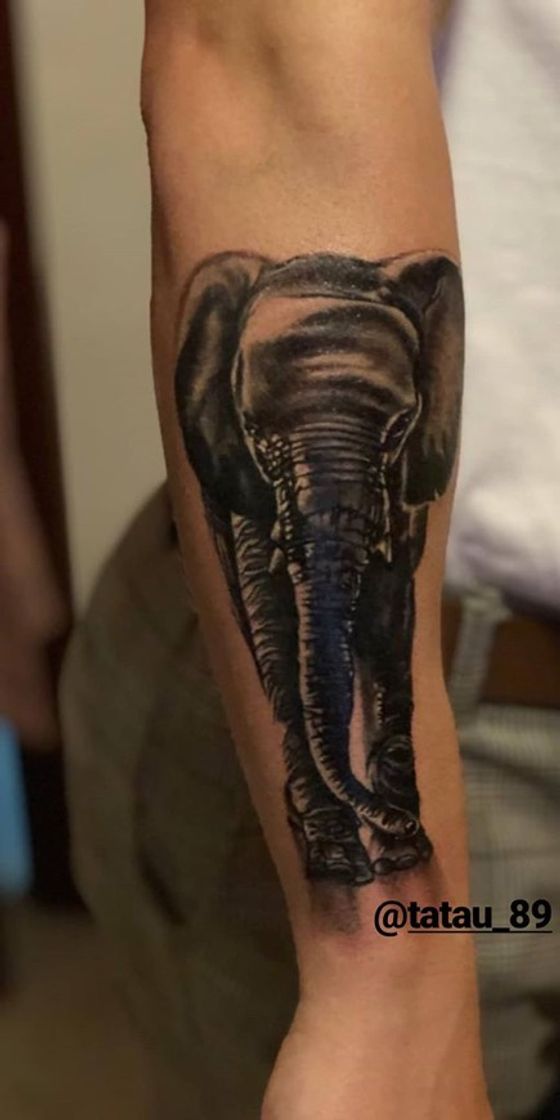 Elefante