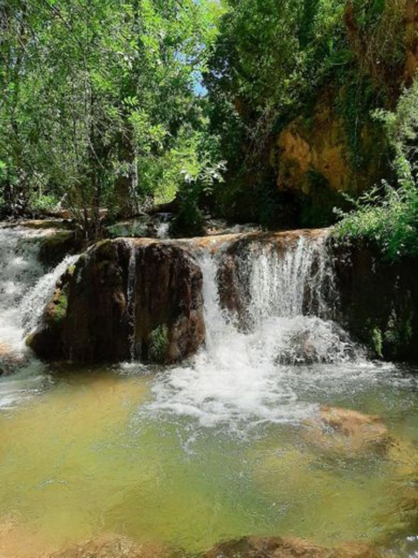 Lugar Aragosa