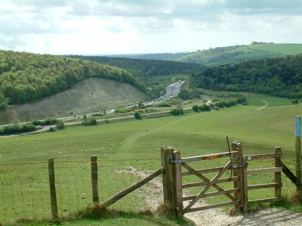 Places Queen Elizabeth Country Park