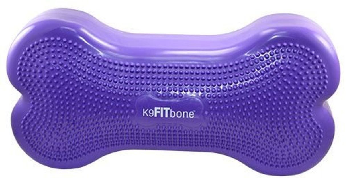 Products Pelota Dynamics fpkbone Purple K9 fitbone