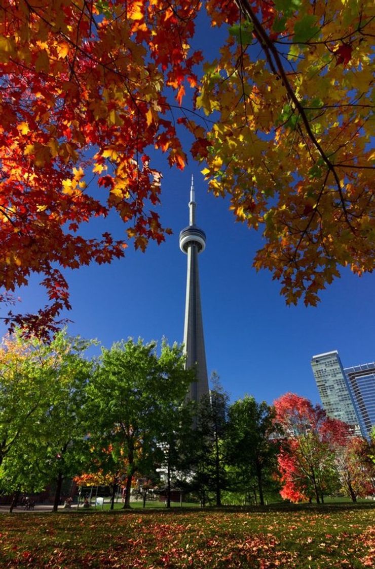 Fashion Canadá - Toronto