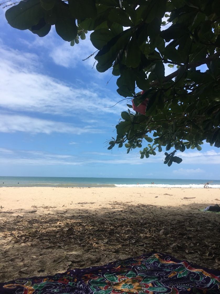 Place Parque nacional Cahuita