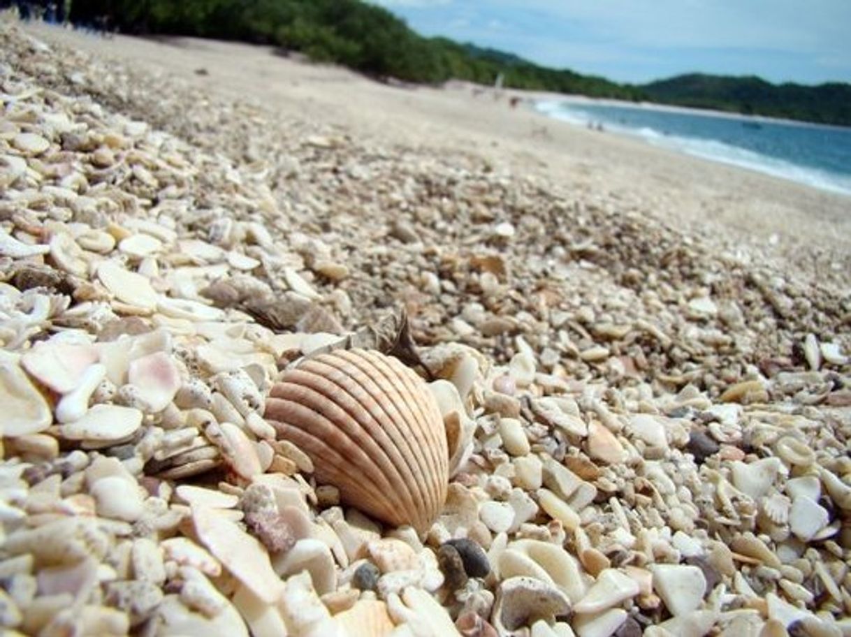 Lugar Playa Conchal