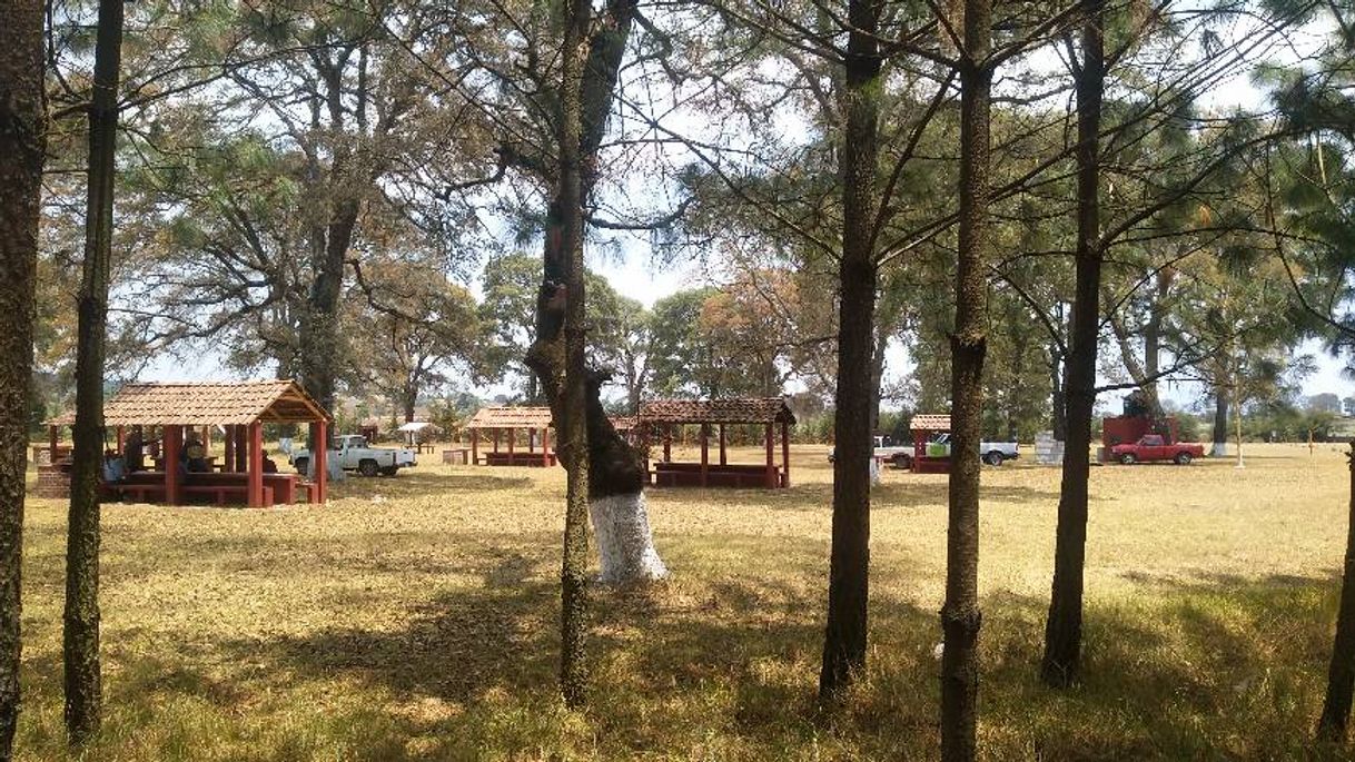 Place Parque Ecoturístico El Camaleón