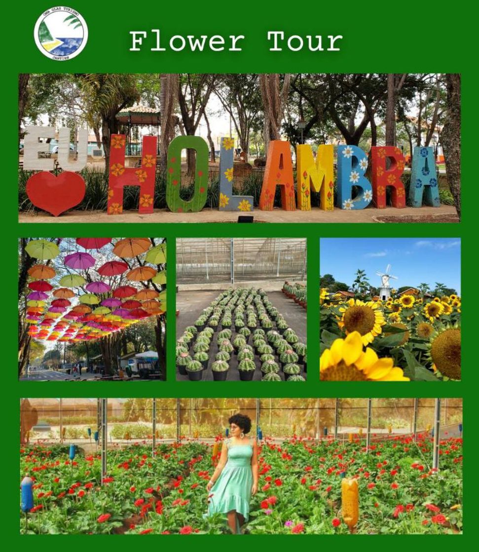 Moda Flower tour