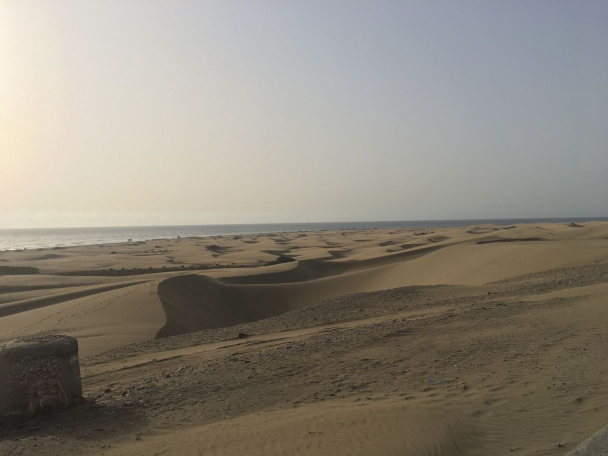 Place Maspalomas Beach