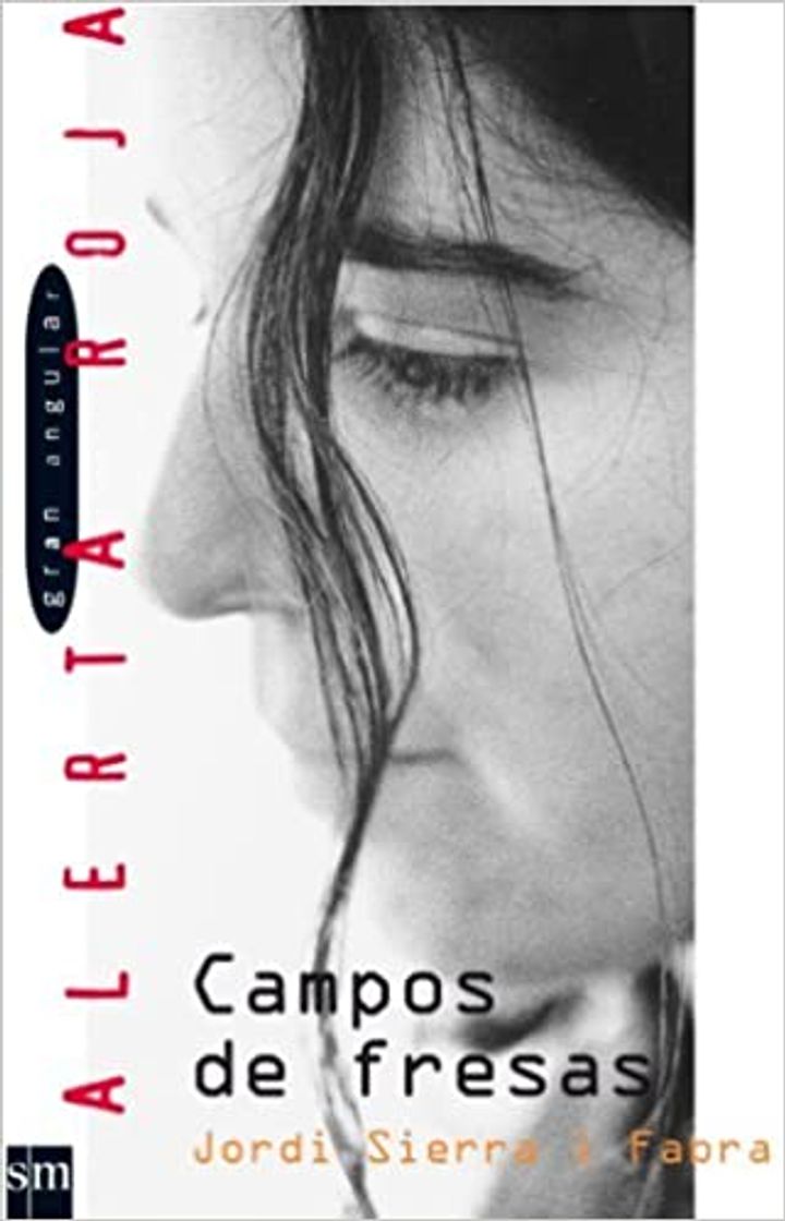 Book Campos de fresas: Spanische Lektüre für das 2