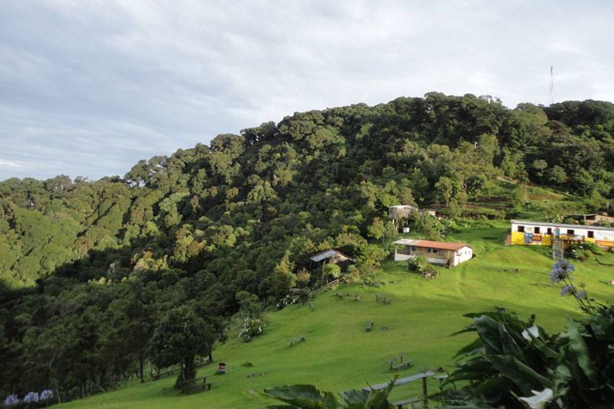 Place El Pital Bosque Nebuloso