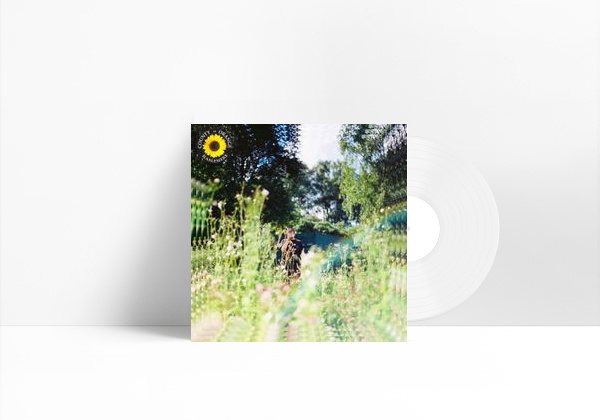 Canción Sunflower