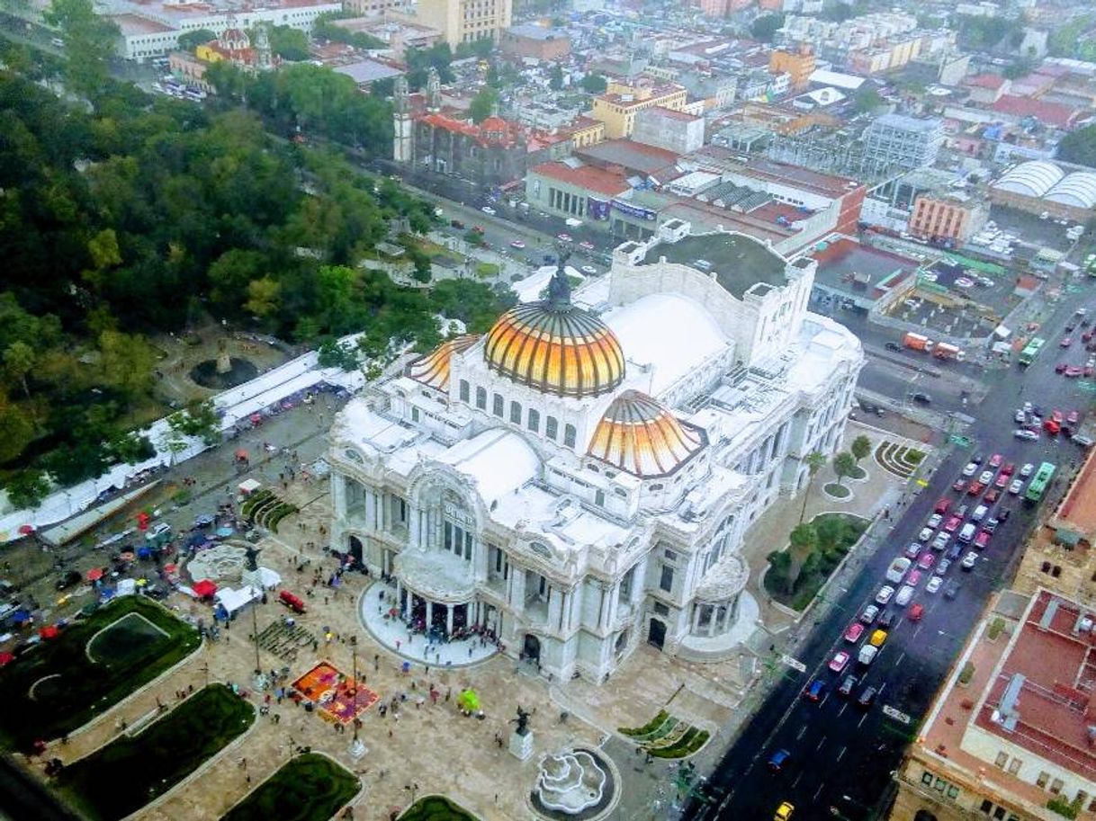 Place Palacio de Bellas Artes