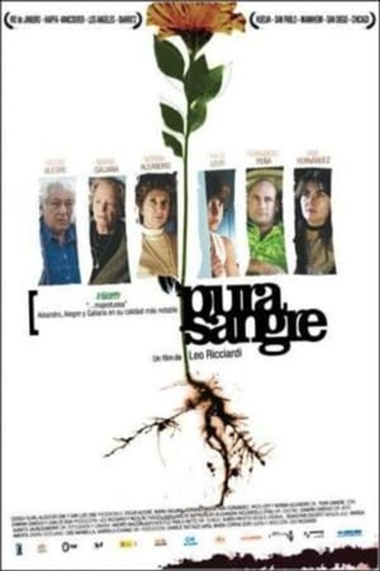 Movie Pura sangre