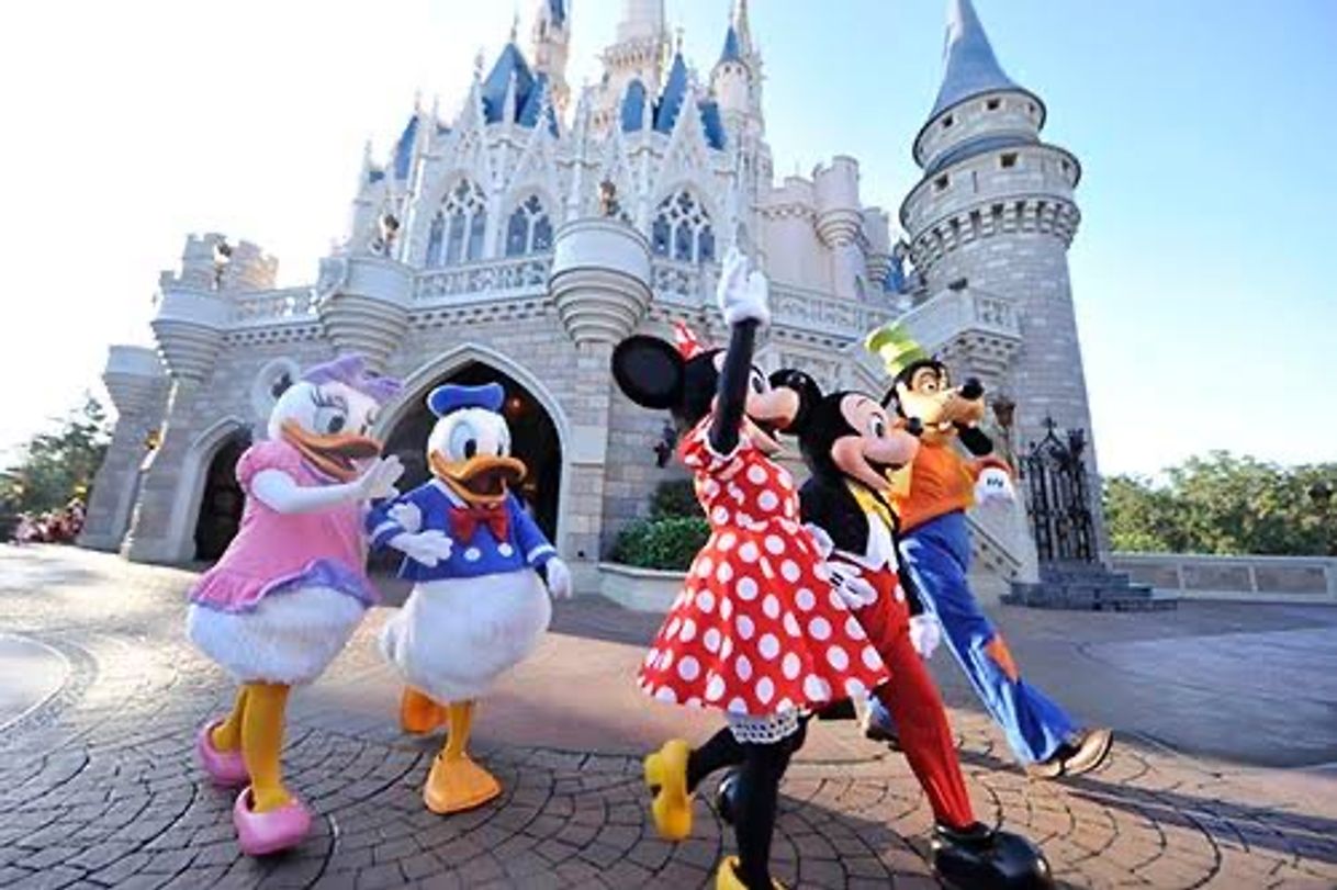 Place Disney World
