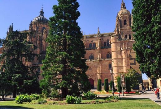 Plaza de Anaya