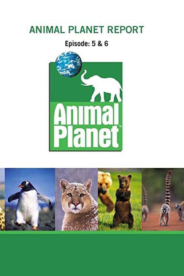 Serie Animal Planet Report