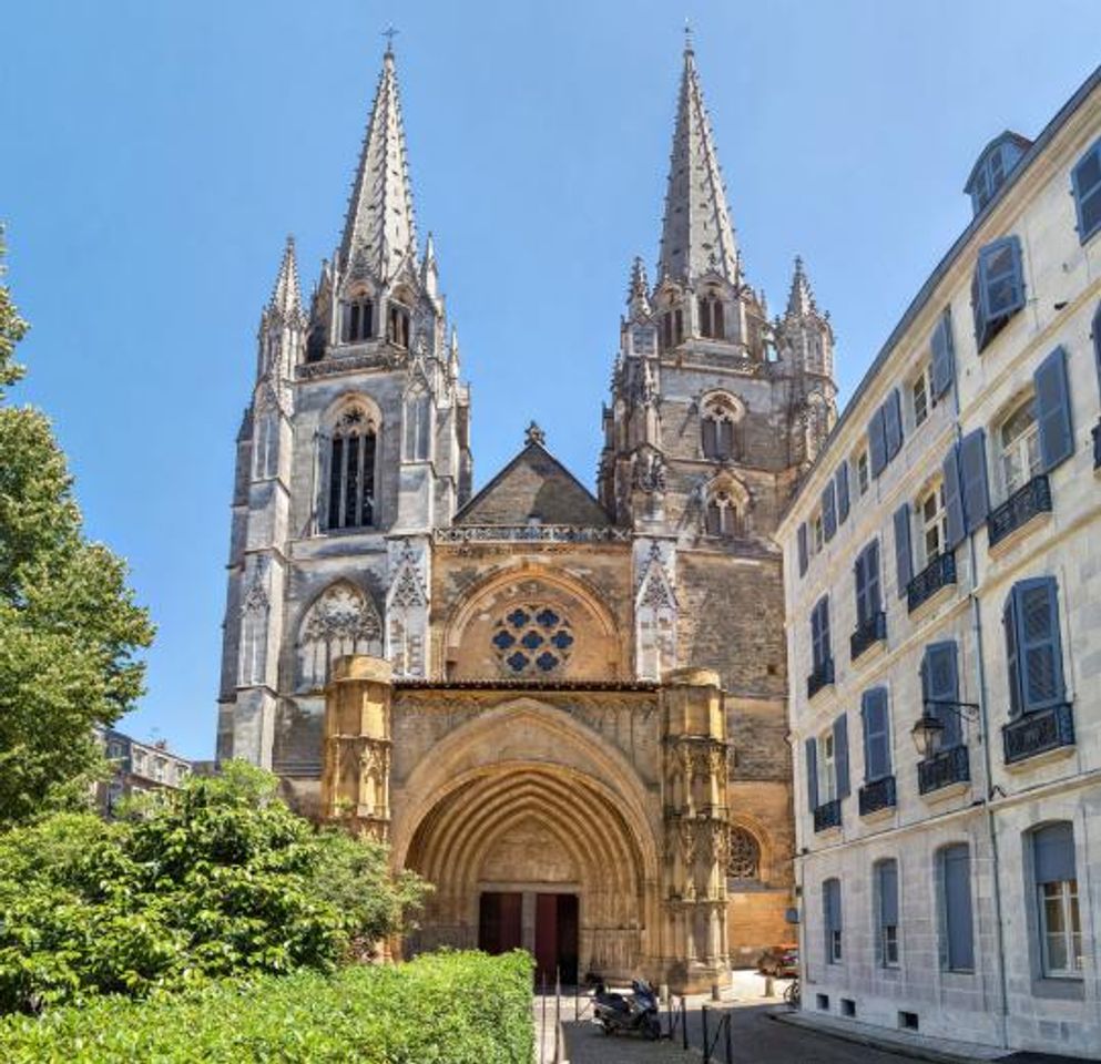 Lugar Cathédrale Sainte-Marie de Bayonne