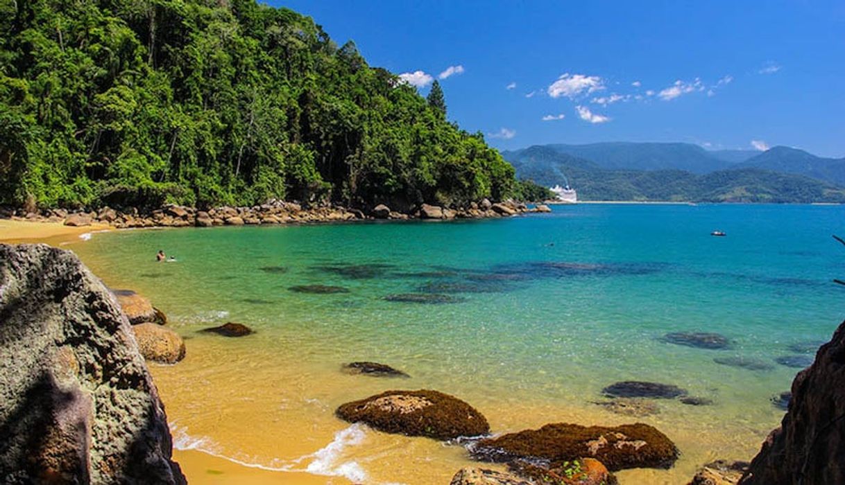 Place Praia de Ubatuba