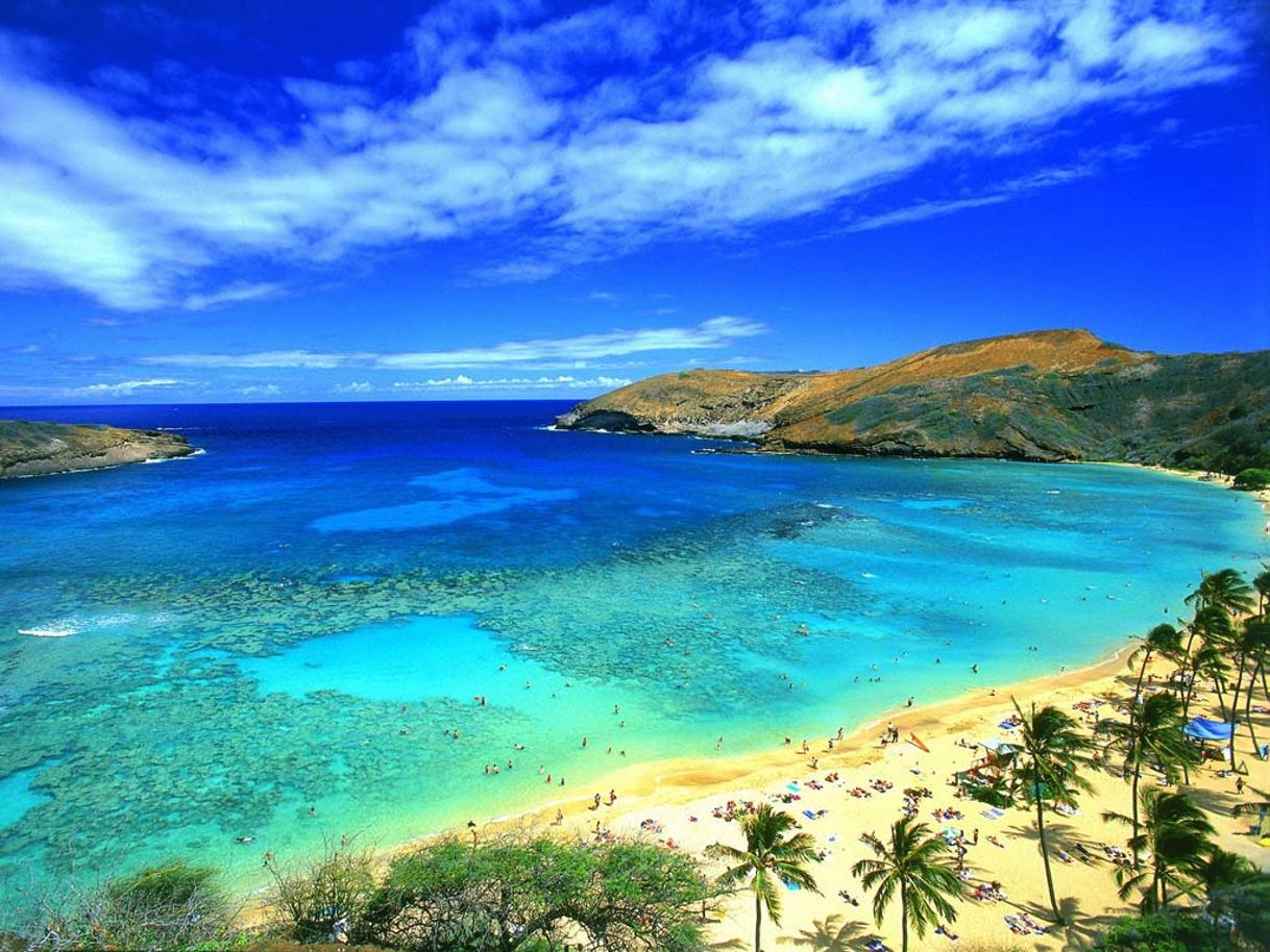 Place Hawaii