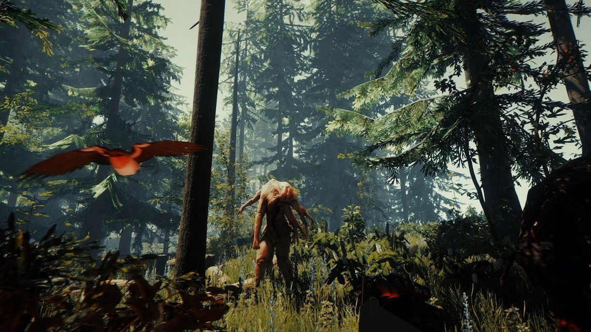 Videojuegos The Forest