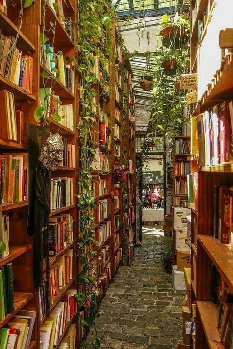 Moda Livros e plantas!! coisa melhor não há☘📚