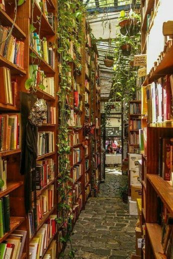 Livros e plantas!! coisa melhor não há☘📚