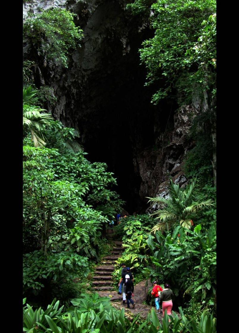 Place Parque Nacional El Guácharo