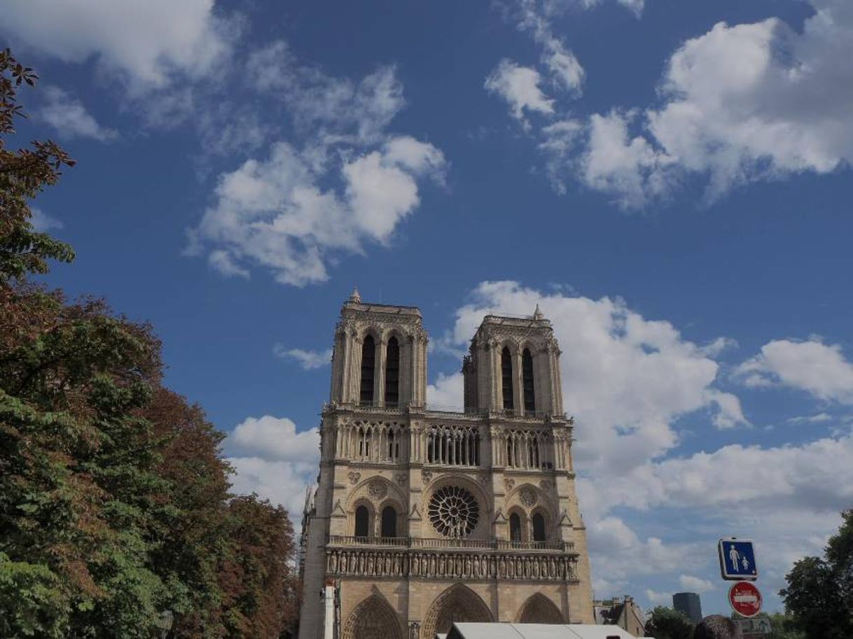 Place Catedral de Notre Dame