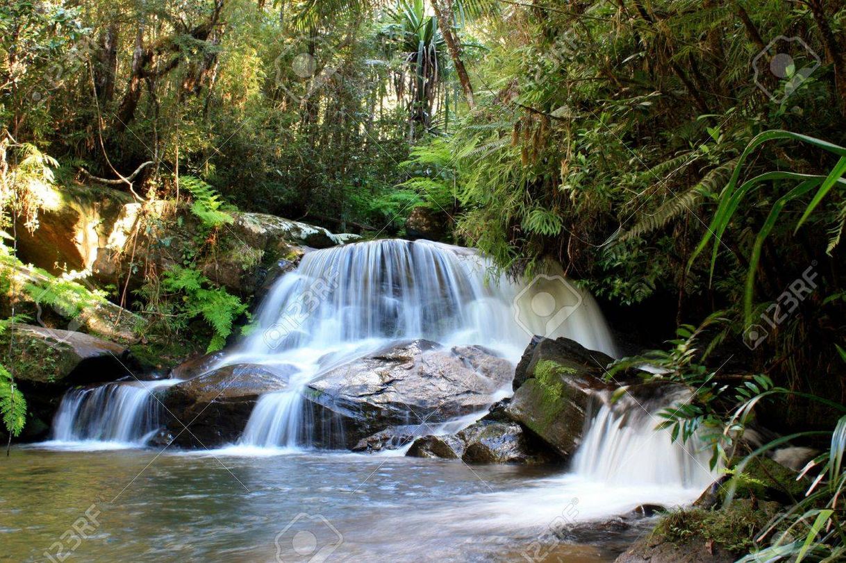 Places Andasibe-Mantadia National Park