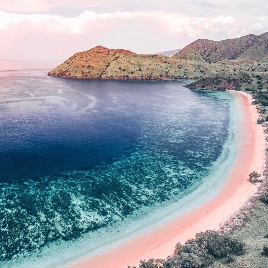 Place Komodo National Park