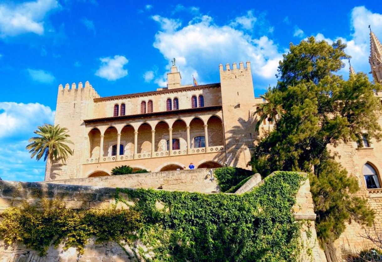 Place Palácio Real de La Almudaina