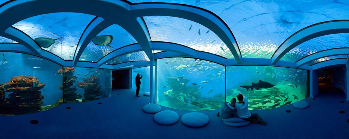 Place Palma Aquarium